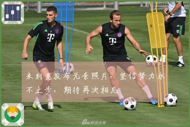 米利克发布无奈照片，坚信努力永不止步，期待再次相见