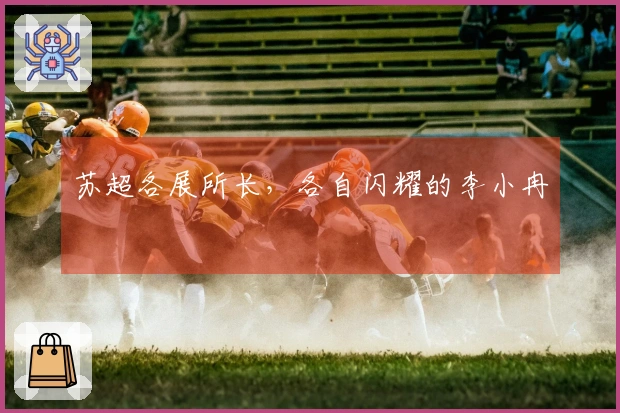 苏超各展所长，各自闪耀的李小冉